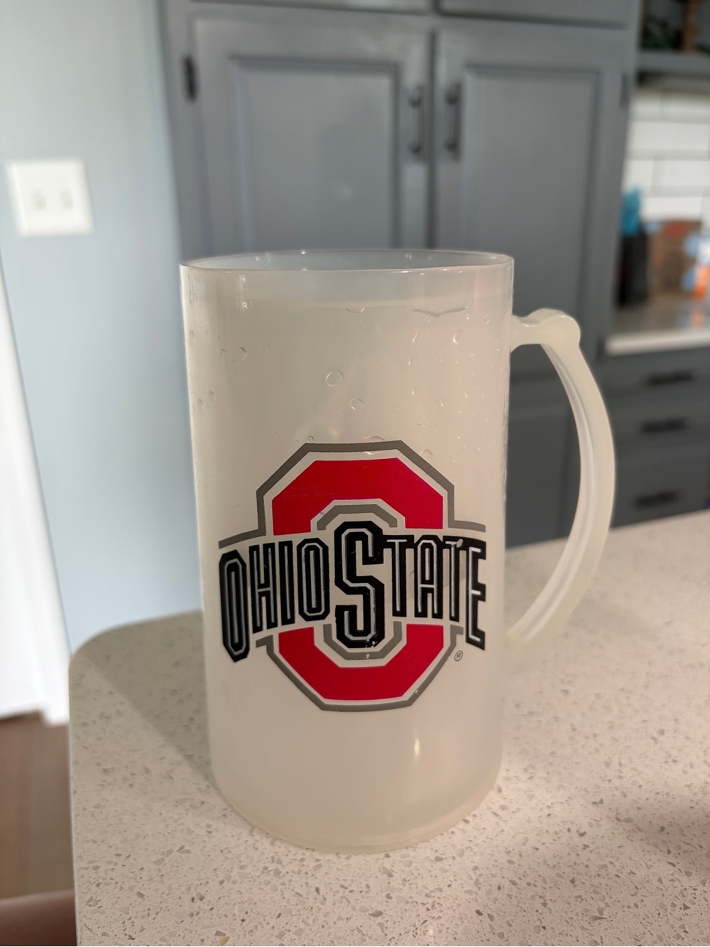 Ohio State Freezer Beer Mug